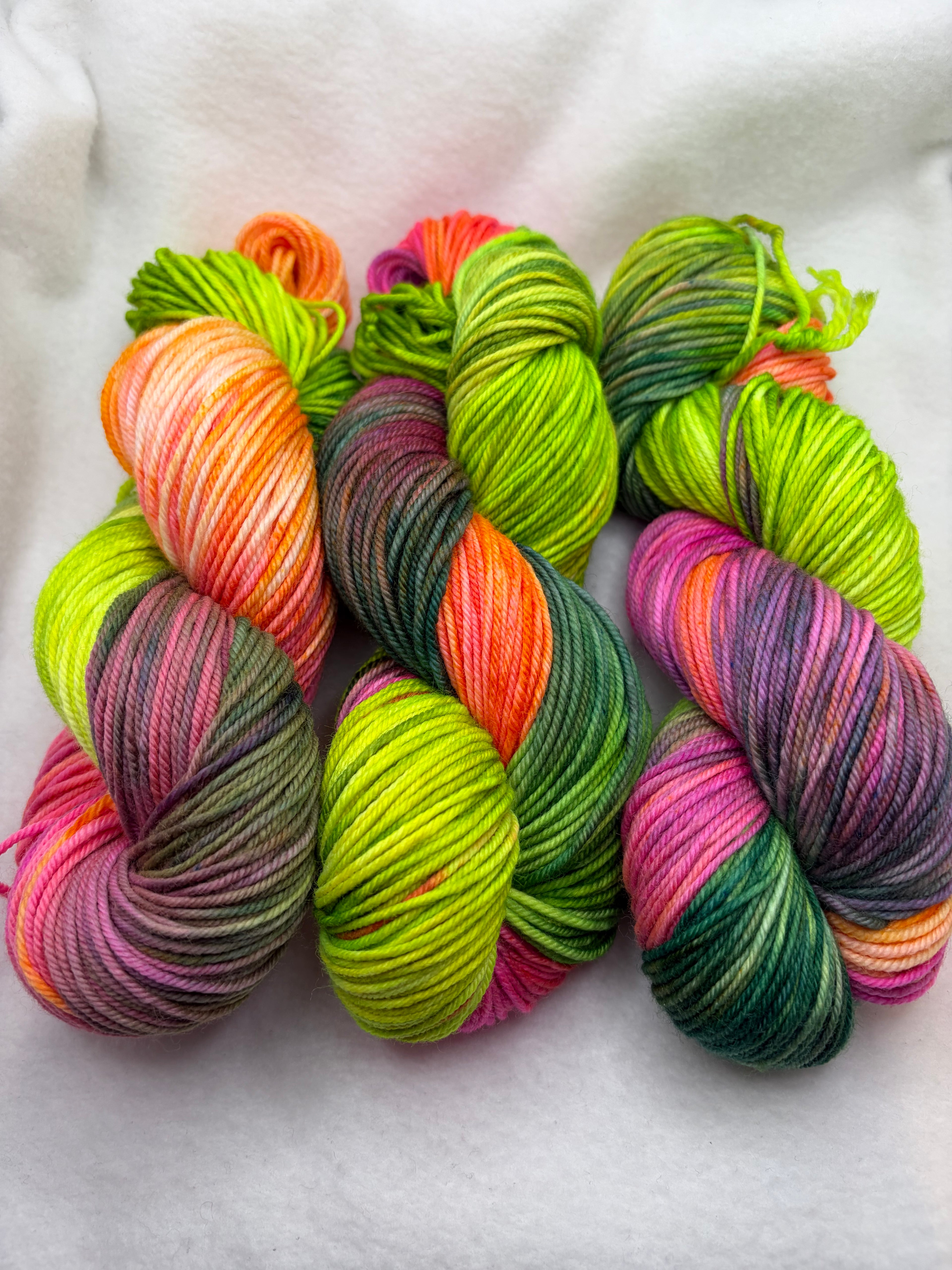 Bird of Paradise | Merino Worsted